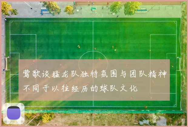 莺歌谈猛龙队独特氛围与团队精神不同于以往经历的球队文化