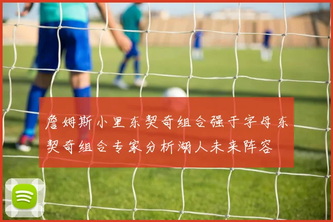 詹姆斯小里东契奇组合强于字母东契奇组合专家分析湖人未来阵容